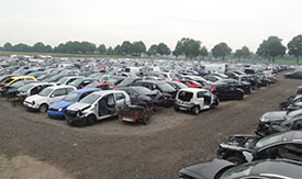 Meer dan 1200 auto's op ons buitenterrein